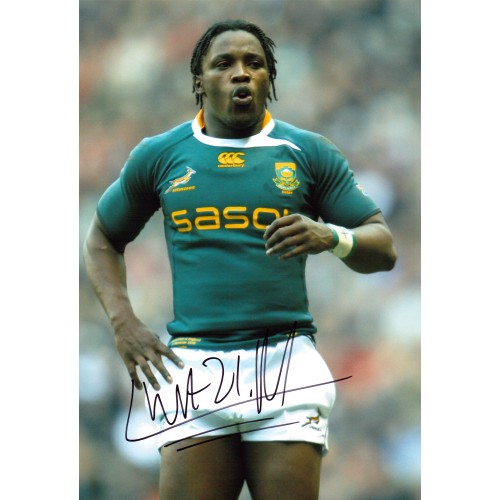 Lwazi Mvovo Signed 8x12 Springbok's Rugby Photograph
